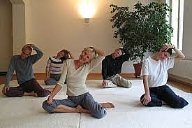 Terapias de movimiento (Técnica Feldenkrais)