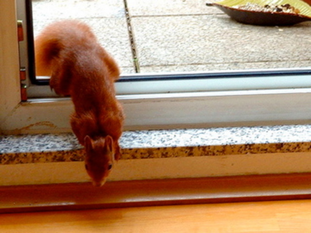 Rob starts primary school