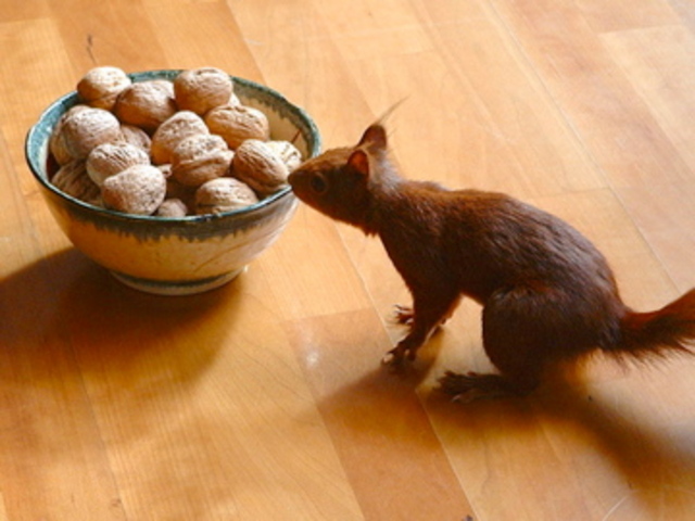 Rob starts high school