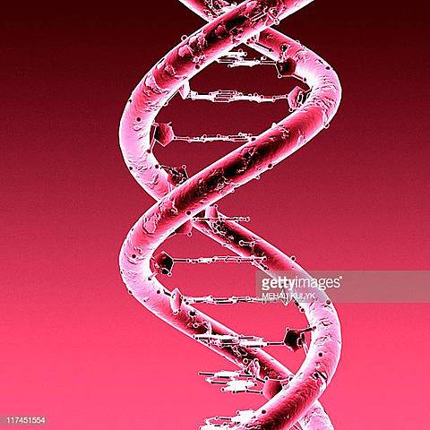 Exito de la terapia genetica