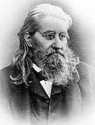 Figuras de la medicina homeopatica