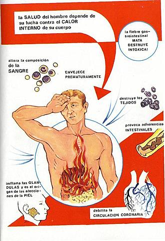 DOCTRINA TERMICA SIGLO XX