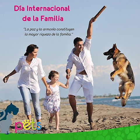 Independent and Married