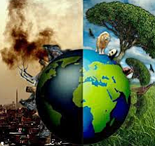 Origen y naturaleza de las enfermedades vegetales