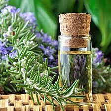 1800 MEDICINA HOMEOPATICA