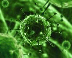 Enfermedades causadas por virus