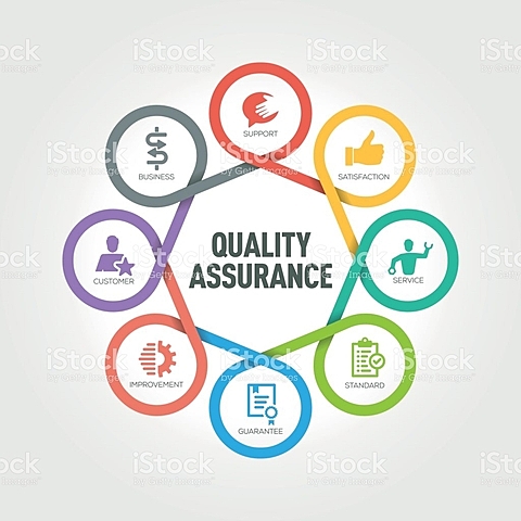 Surgió el término "Quality Assurance".