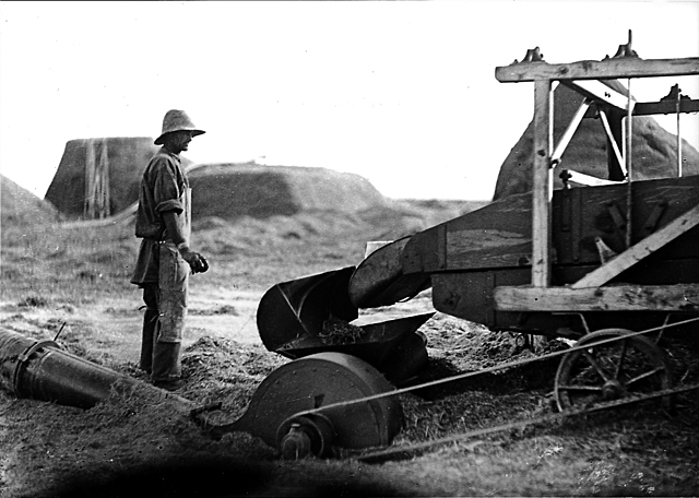 Movimiento Cooperativo en el sector agropecuario