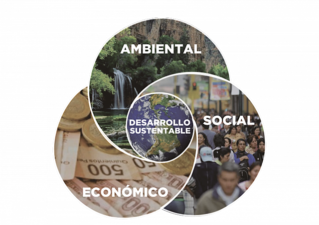 Surgimiento del término "Desarrollo Sustentable"