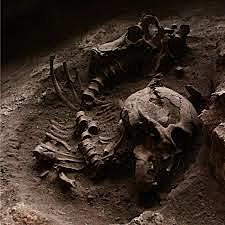 PRESENCIA DEL HOMBRE EN EL OCCIDENTE DE MÉXICO