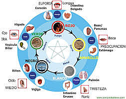 MEDICINA TRADICIONAL CHINA