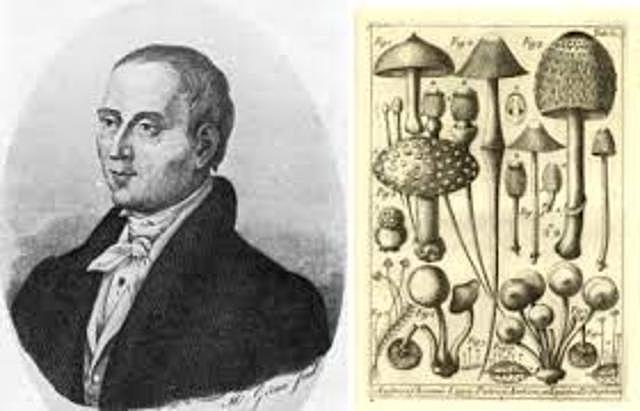 AD 1 MICHELLI- INVESTIGACIÓN POR EXPERIMENTO- 1.729