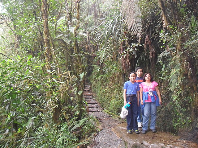 Viaje al Biotopo del Quetzal