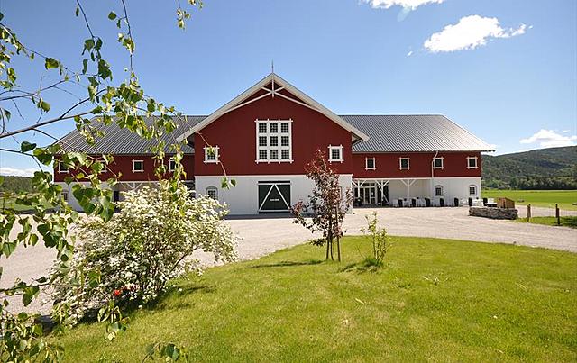 1920, Bondepartiet dannet