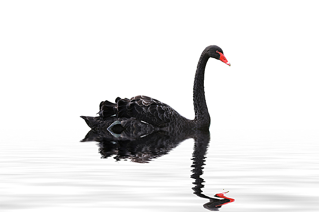 Nassim Nocholas Taleb