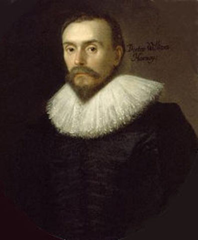 William Harvey , development theory