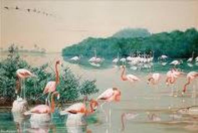 Audubon gets Birds of America published