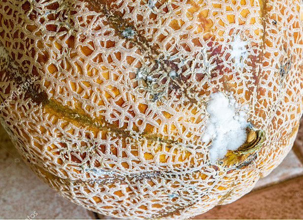 Pier Antonio Micheli