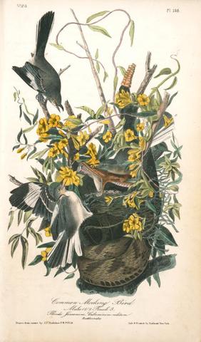 Starting work in florida