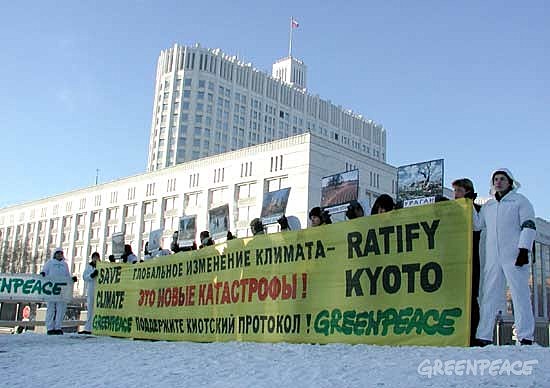 crecimiento del protocolo