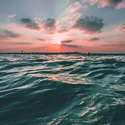 Timeline: MY MONTH: AUGUST