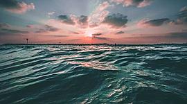 Timeline: MY MONTH: AUGUST