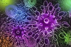 Anton van Leeuwenhoek