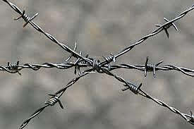 Barbed Wire
