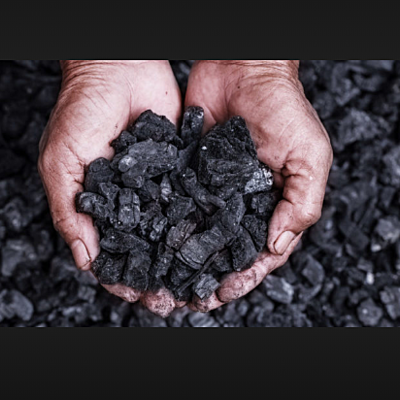 Timeline: la evolucion del combustible fosil