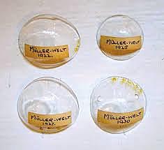 Industrial Revolution