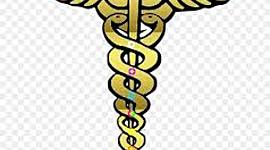 Timeline: Inicio de la Enfermería