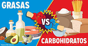 Primeros estudios Dieta Deportiva