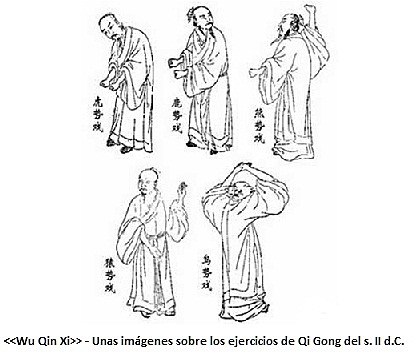 QI GONG (CHI KUNG)