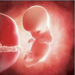 51-58 DÍAS – OCTAVA SEMANA