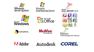 software como producto