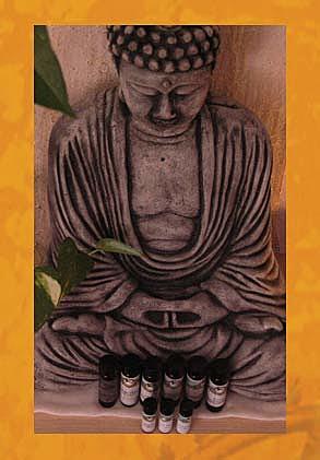 Medicina Alternativa Ayurvédica