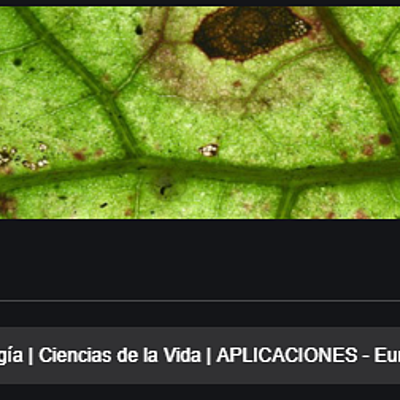 Timeline: FITOPATOLOGIA