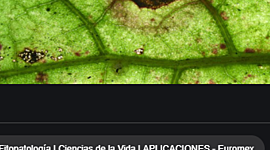 Timeline: FITOPATOLOGIA
