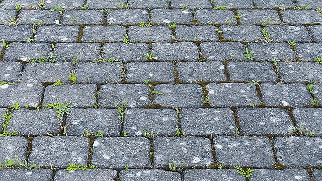 Aparición de adoquines