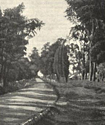 Primera carretera colombiana