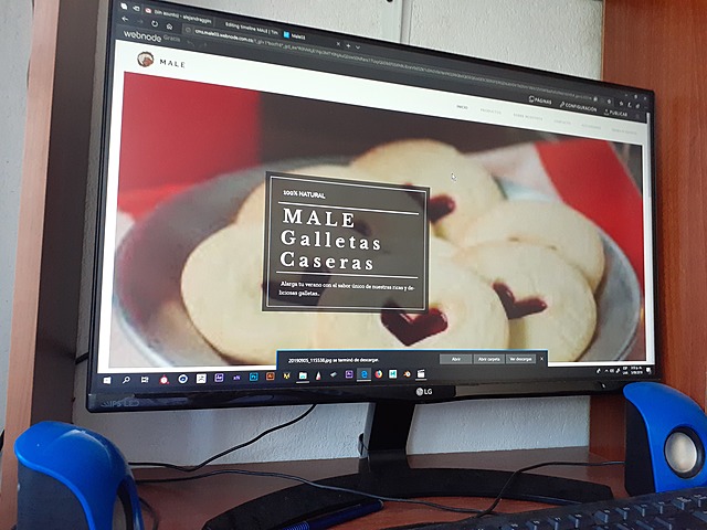 Creación de la Empresa