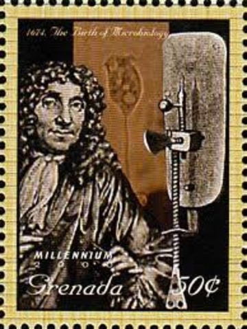 Powerful microscope invented