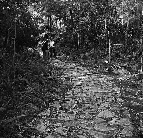 De caminos de herradura a los de pavimento