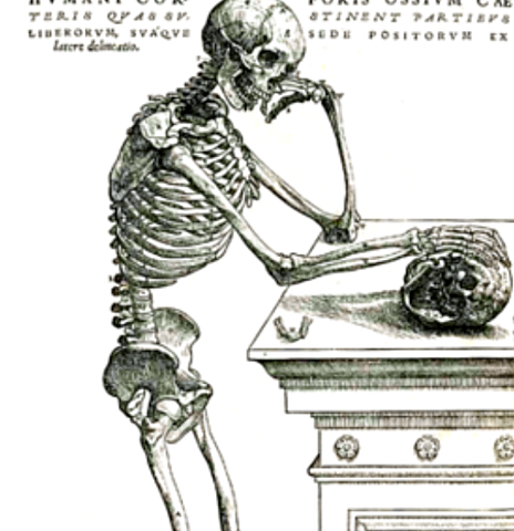 JAN 1 - 1301 - MEDICINA RENACENTISTA