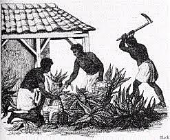 First group of blacks brought to Virginia