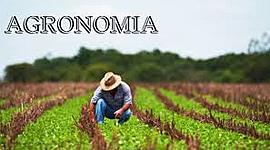 Timeline: Historia de la agronomia