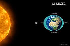 LAS MAREAS