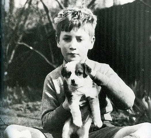 Freud y la psicoterapia infantil