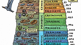 Timeline: geokronoloogiline skaala - Mihkel G2EV