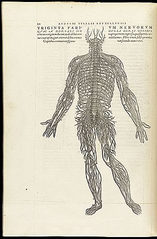 De humani corporis fabrica is published